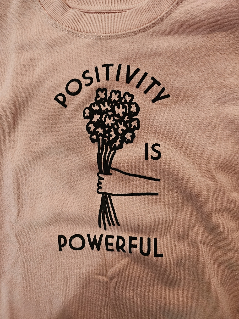 ban.do Dusty Pink Graphic Sweatshirt